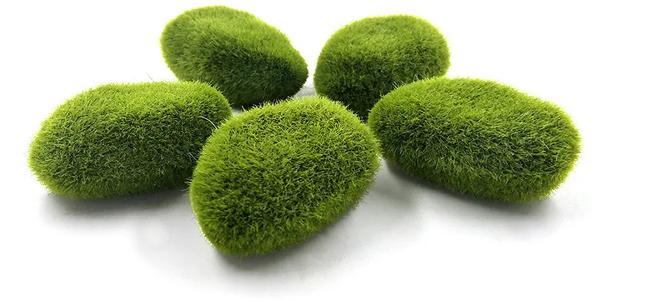 HTB1rz7JS4TpK1RjSZFKq6y2wXXaa