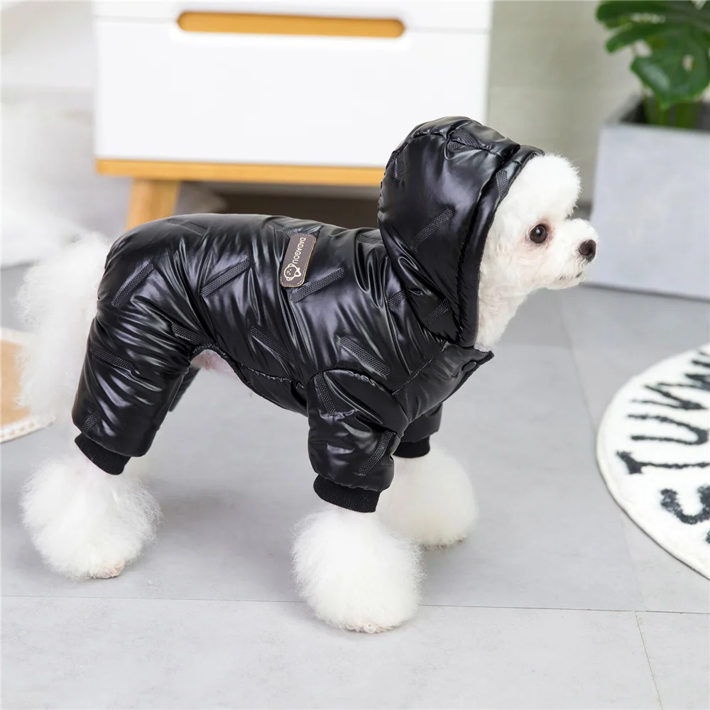 warm clothes for dogs