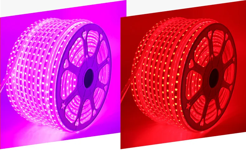 RGB Светодиодные Ленты Гибкие Огни SMD5050 60 Светодиодный Водонепроницаемый AC220V 230 V неоновый свет удаленного Управление вечерние Гостиная Home