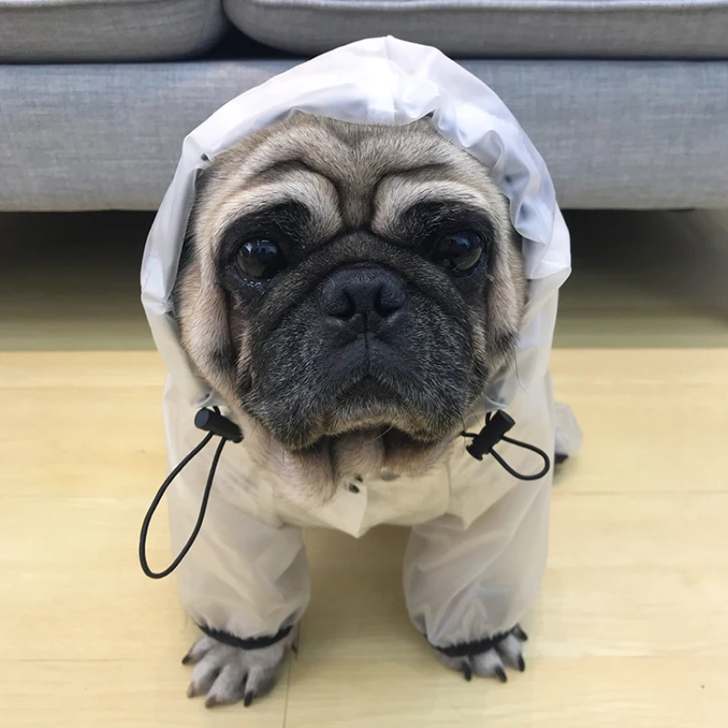 HTB1K5EwBZyYBuNkSnfoq6AWgVXa2