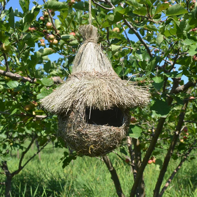 Nid d'Oiseau de Tissée Naturel à Main Lieu de Repos pour Maison Jardin  Sauvage