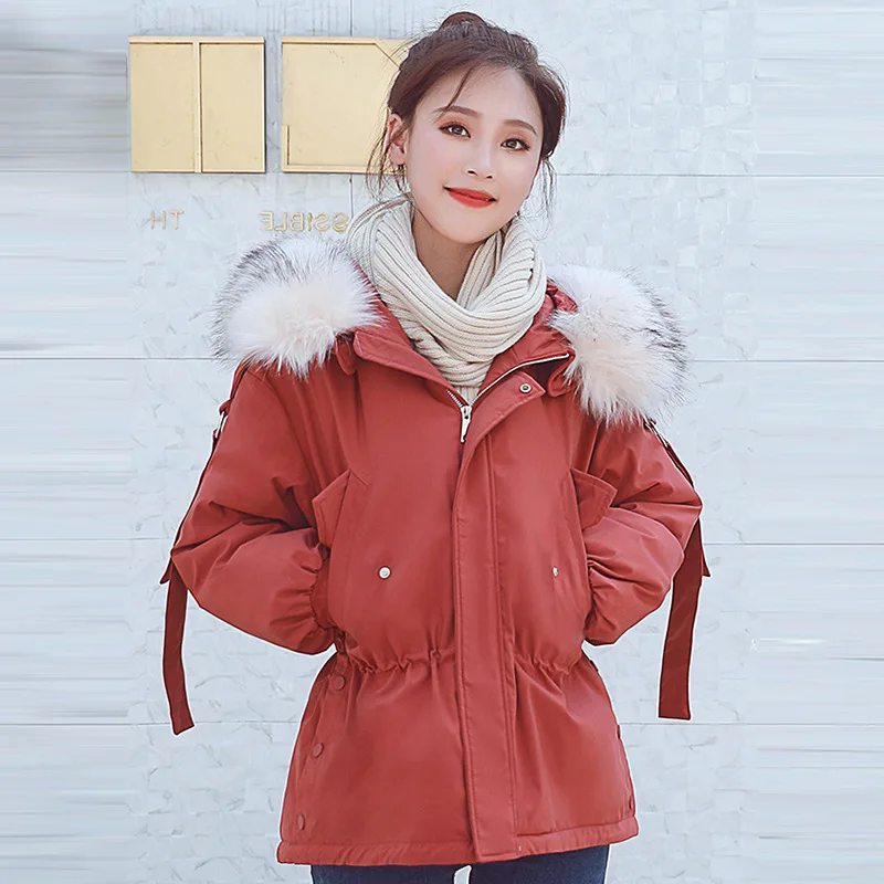 

Photo Shoot 2019 Autumn & Winter Korean-style New Style Large Fur Collar down Jacket Women's Short Cotton Coat Online Celebrity