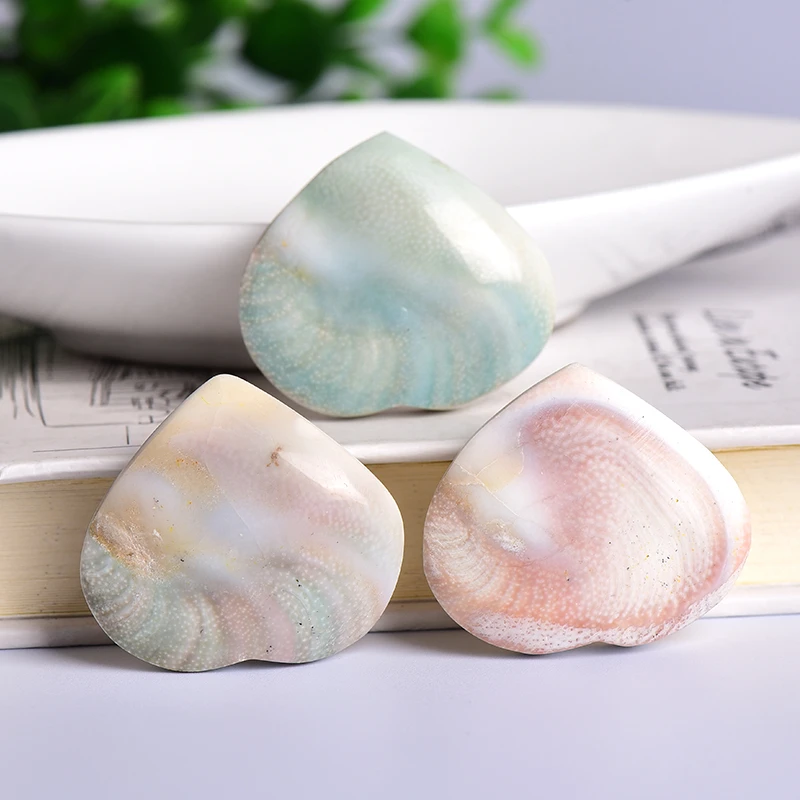 1pc Natural Stone Shell Heartshaped Madagascar Sun Shell Crystal Heart