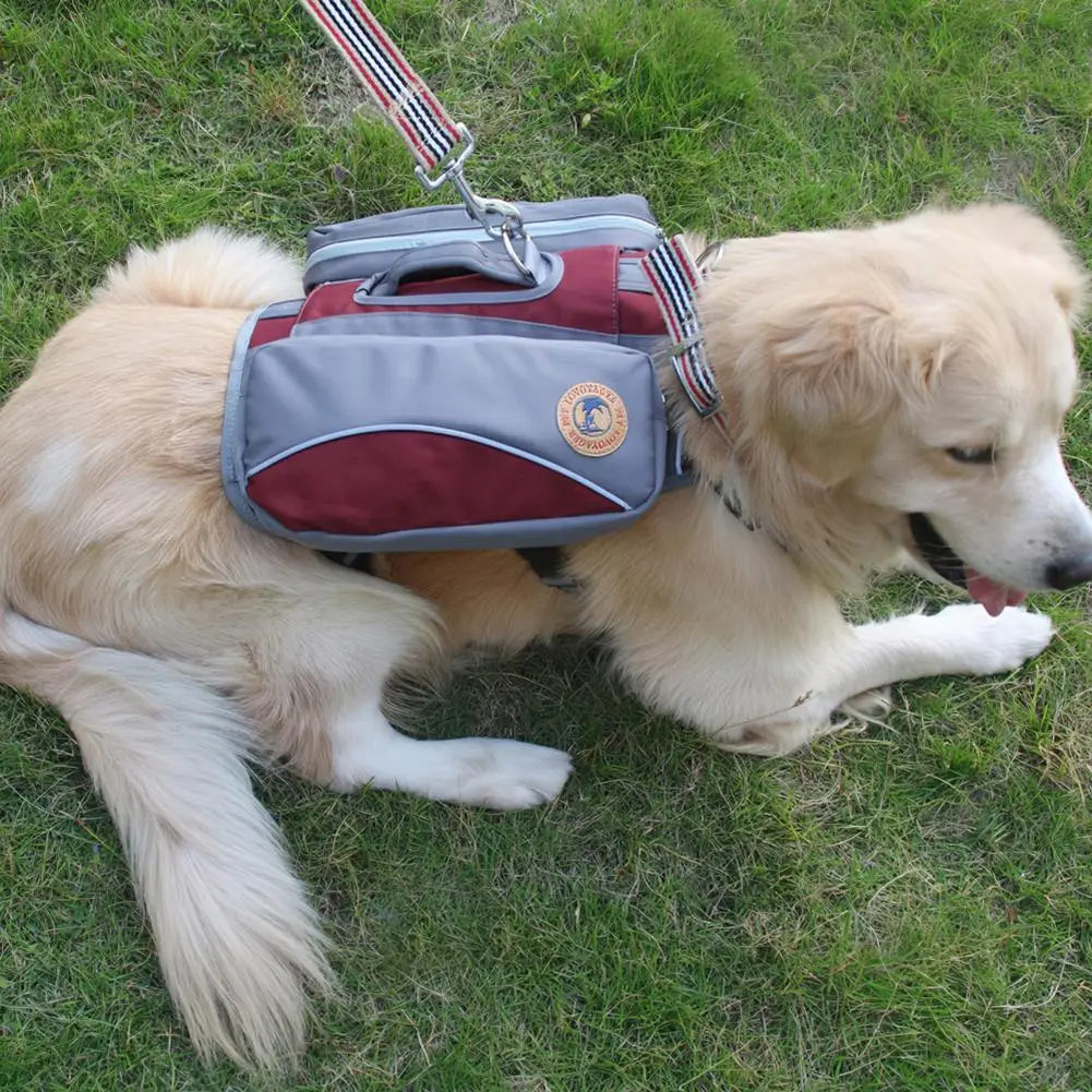 Дышащие портативная переноска для животных сумка для путешествий Съемная сума рюкзак сумка-переноска для животных для щенков, сумочка для собак Одежда для Йорка чихуахуа