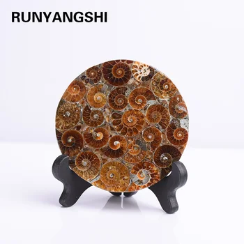 

Runyangshi about 8cm Natural crystal stone Ammonite Disc Fossil Conch Specimen Healing +Stand 1pcs