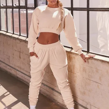 

Oeak Women Two Piece Set Top And Pants Cropped Hooded Hoodies With Elastic Waist Pants Solid Casual Ladies Tracksuits