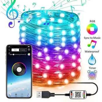 

2M 5M 10M 20M LED String lights copper Wire Christmas Tree Decor Light Custom LED String Lights App Remote Control N E