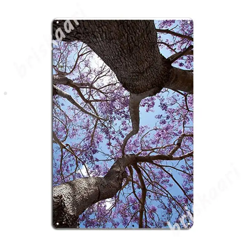 Jacaranda Time Metal Signs Wall Decor Custom Wall Cave Cinema Tin Sign Poster
