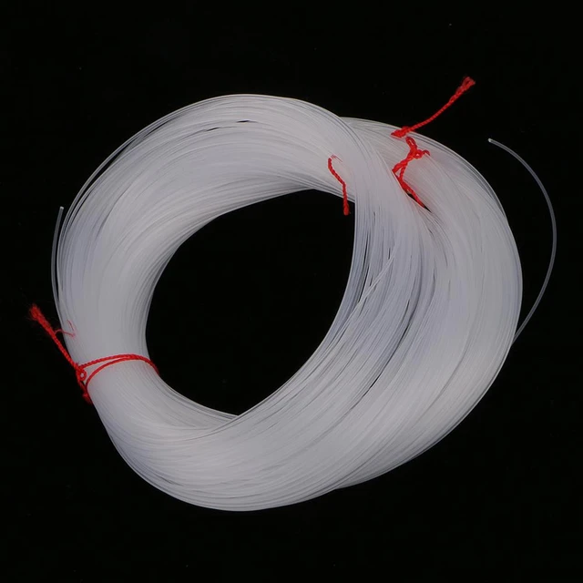 Fil De Pêche En Nylon Transparent, 100 Mètres, 1mm, Monofilament - Lignes  De Pêche - AliExpress