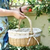 Picnic Basket Storage Box Easter Manual Exquisite Art Gift Decoration Wicker Large Capacity With Handle Liner Baskets 2