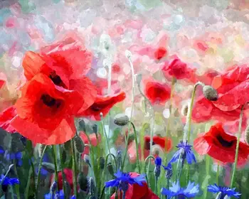 

Red flower diy paint by numbers painting kits abstract oil painting by numbers on canvas for painting Framed Wall art Pictures