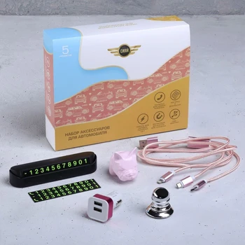 

Set of accessories for the car "Shine", 5 items