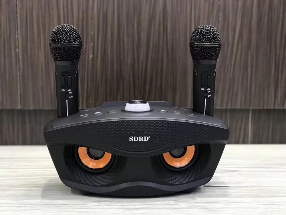 Dual Bluetooth Speaker with 2 Wireless Microphones