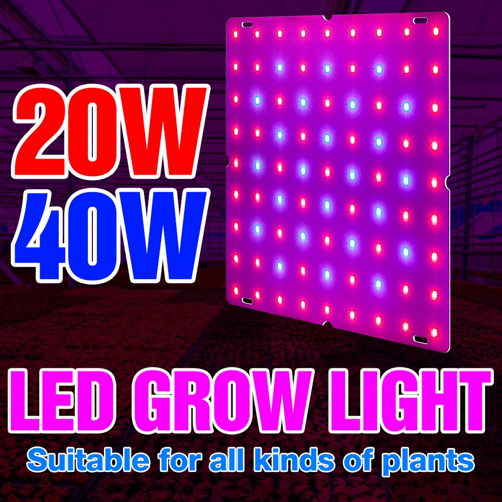 

Indoor Grow Lamp LED Full Spectrum Plant Seedling Light For Phyto Flower Seed Growing LED Hydroponics System Lamp LED Fitolampy