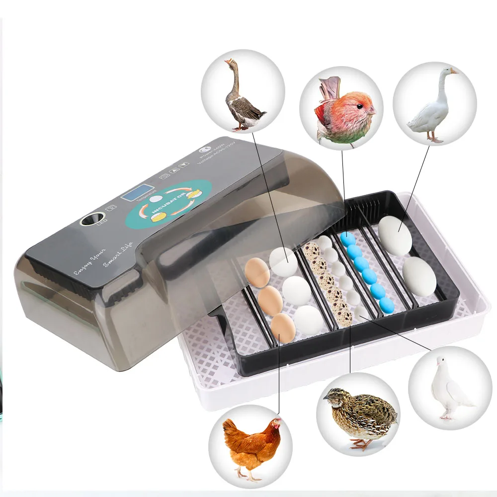 Automatic Eggs Incubator Cheap Price Farm Hatchery 4-35 Egg Hatchers