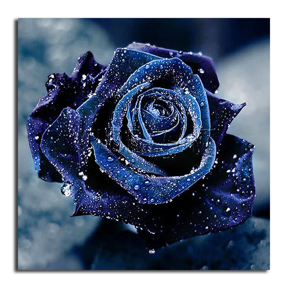 バラの絵 完全な5d刺繡 正方形のビーズ 自分でやる 青い花 クロスステッチ ラインストーン モザイク 装飾 Mosaic Decor Diamond Painting Rose5d Diamond Aliexpress