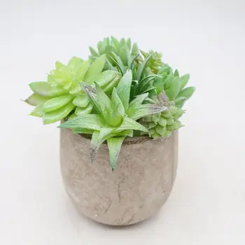 

Artificial Succulent Pant Living Room Balcony Decoration Storefront Decoration Imitation Flowers Fake More Meat Combo Simulated