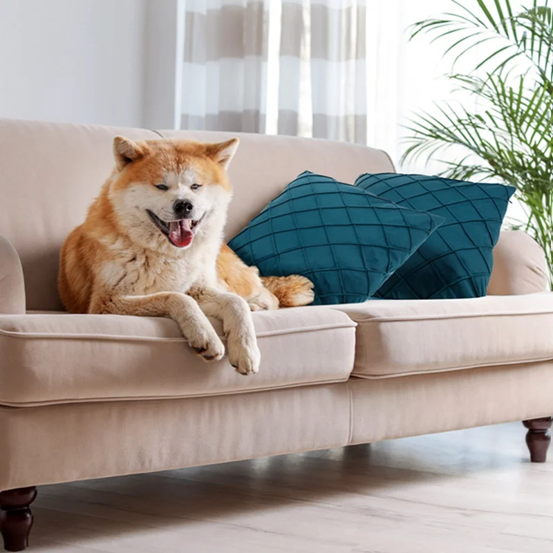 4 предмета детские штаны с геометрическим принтом бархатные Подушка Наволочки