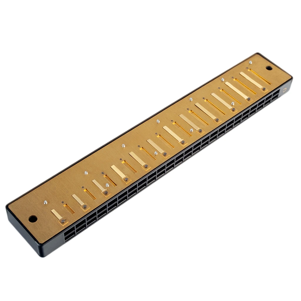 24 Holes Harmonica Comb with Reeds Set C Key for Students Adults Music Lovers