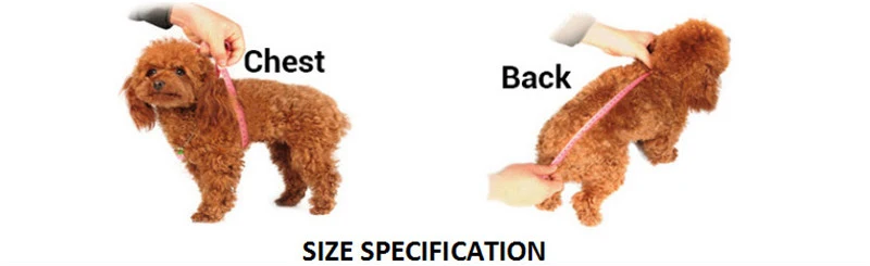 H66ea363801314bf6b39c3a362f197720U