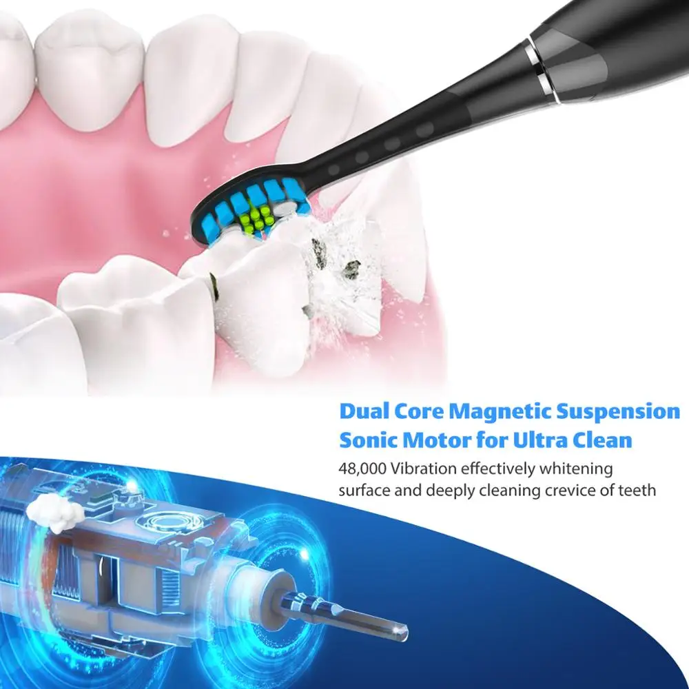 Lachen T7B Sonic Electric Toothbrush buy one get one free with 8 brush heads and timer 5 modes USB charging