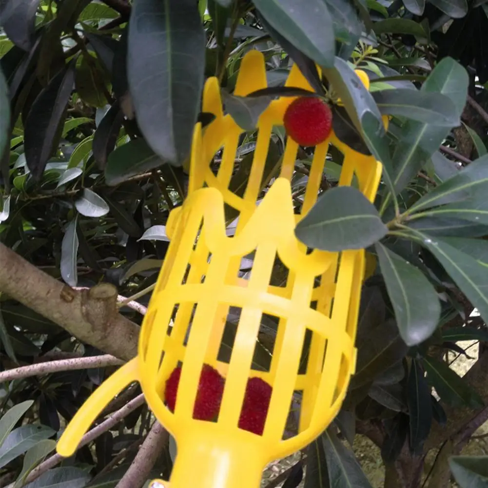 Fruit Picker Tool Fruit Grabber Picker Pole Basket Tree Telescoping Pole For Plum Orange Peach Mango Pomegra