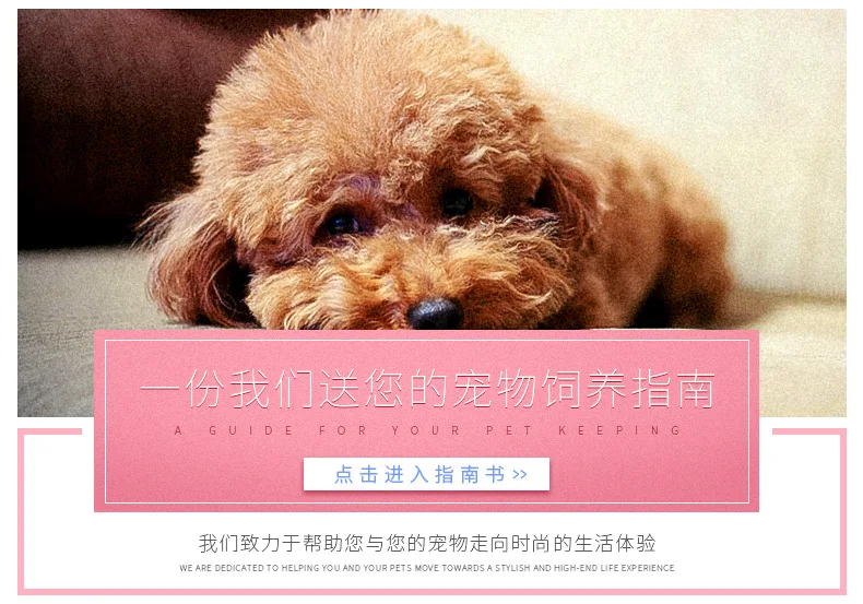 1 Manufacturers Direct Selling Small Dogs Bichon Teddy Cute Christmas Stripes Sweater Pet Dog Autumn And Winter Pet Clothes
