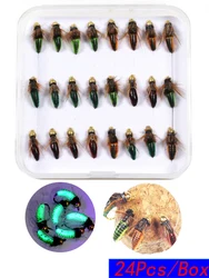 24Pcs/Box Realistic Nymph Scud Fly for Trout Fishing Artificial Insect Caterpillar Bait Bead Head Fast Sinking Worm Fishing Lure