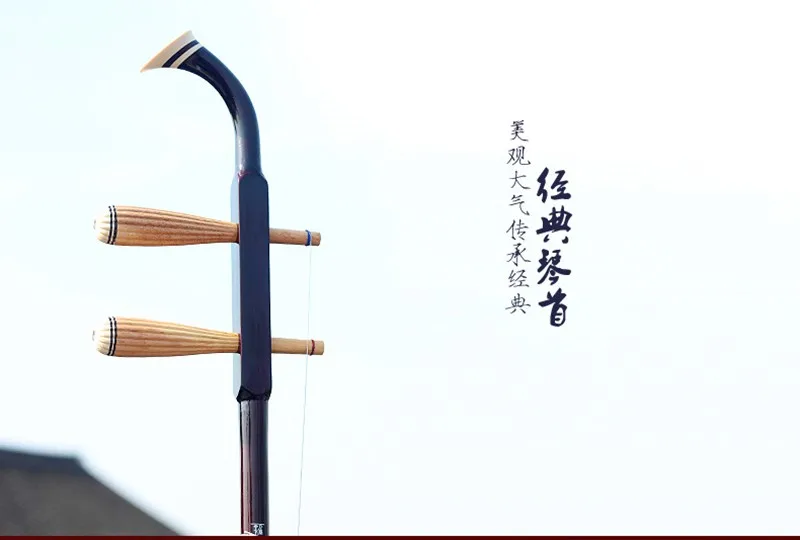 Китайский Erhu твердой древесины Две Струны для скрипки эксклюзивный Выгравированный код Urheen музыкальные Струнные инструменты с канифоль лук и чехол