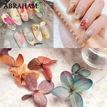 Дизайн ногтей гербарий украшения Маникюр DIY ремесла наклейка с цветком 3D живой цветок набор лепестков для ногтей советы по изготовлению ювелирных изделий