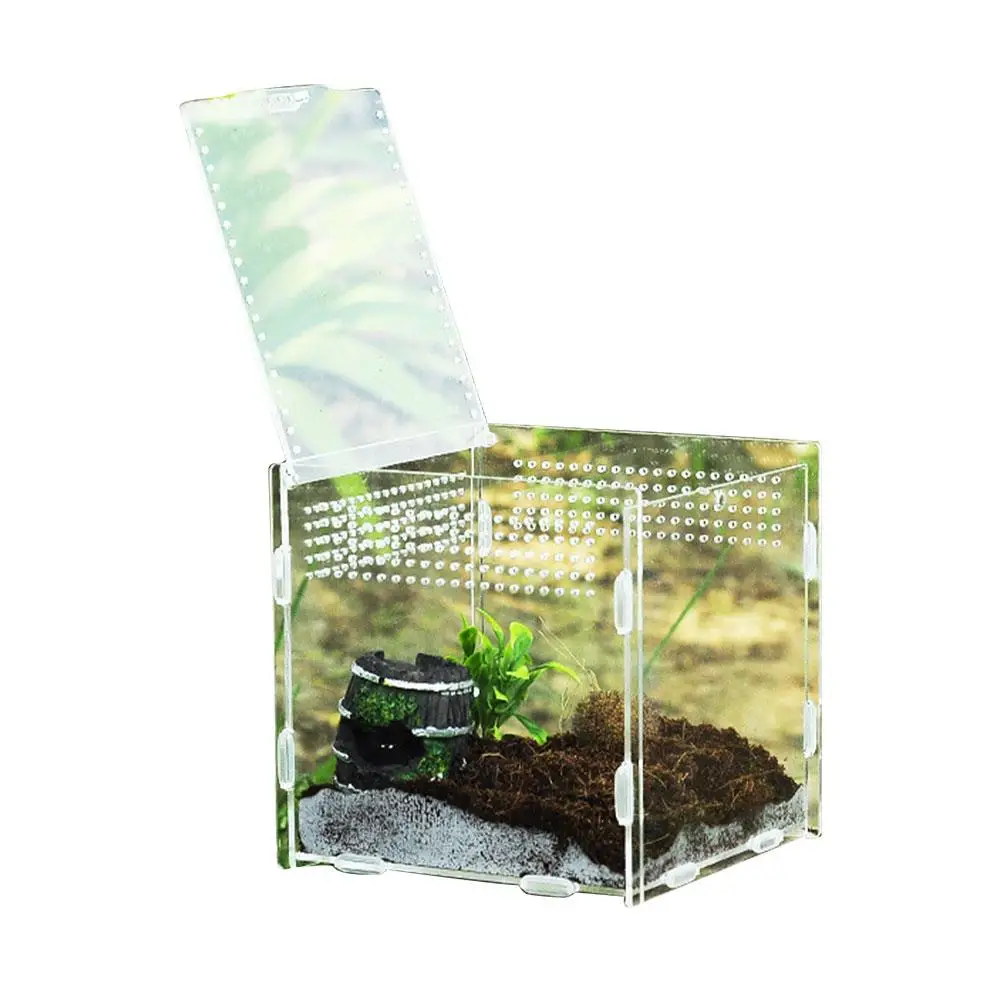 15x15x15CM Несколько вентиляционных отверстий для разведения рептилий коробка акриловая прозрачная Рептилия Танк насекомых пауков скорпионов Mantis кормушка Террариум танк - Color: 15x15x15CM