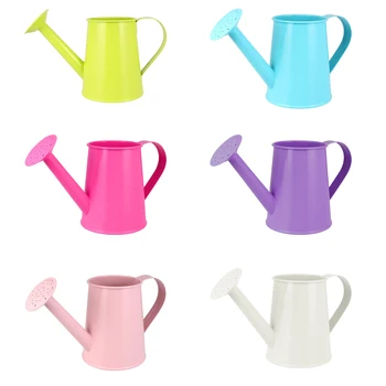 

Water Kettle Sprinkled Garden Irrigation Spray Bottle Iron Watering Can Household Flower Plant Shower Tool Gardening Long Spout