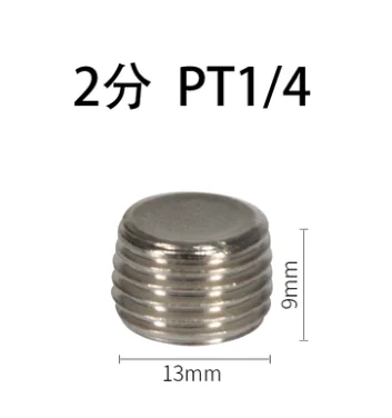 10 шт. 1/" 1/4" 3/" 1/2" PT наружная резьба Внутренняя Шестигранная головка трубы вилки гнездо пневматические фитинги - Цвет: BSL-02