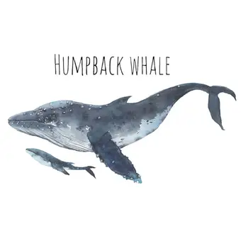 

Hand Painted Humpback whales wall sticker kids rooms living room bedroom home decorations mural background wallpaper stickers