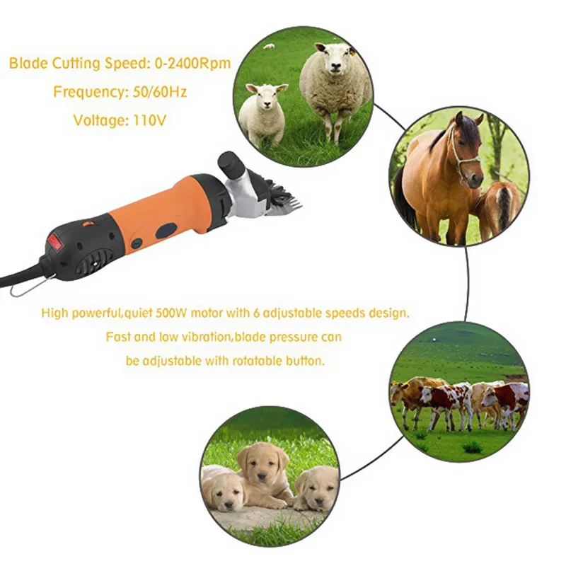 11338745397_201966867