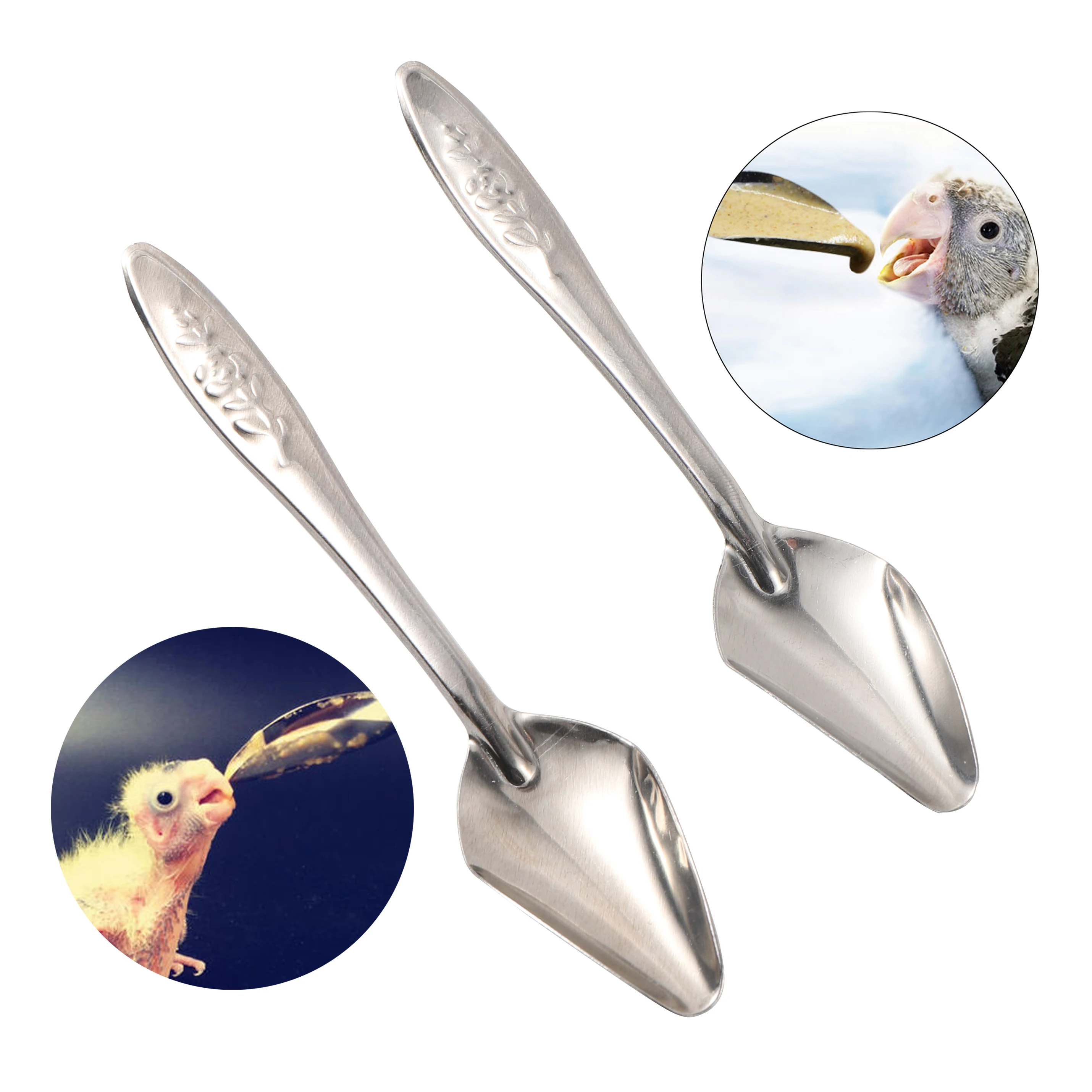 5pcs Portable baby bird feeding water spoon bird parrot feeding spoon stainless steel water milk powder feeder