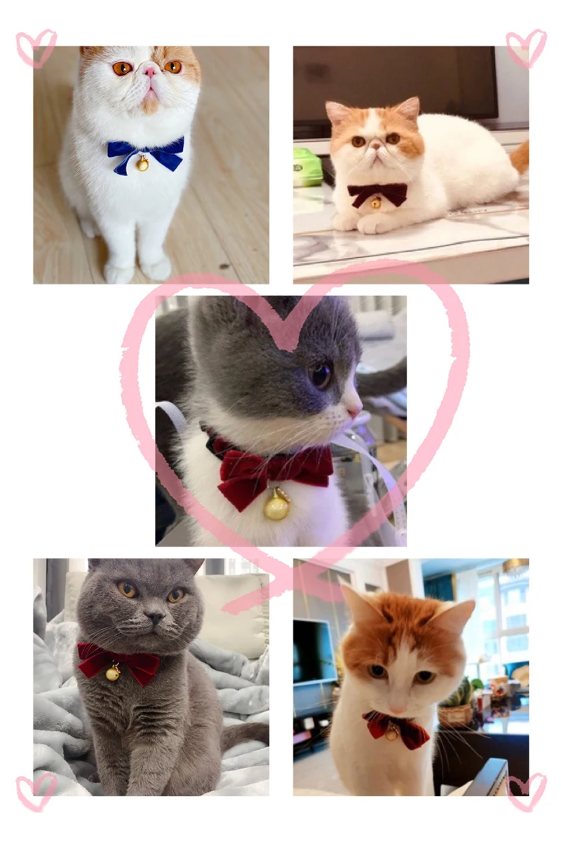 13998848148_1199050608