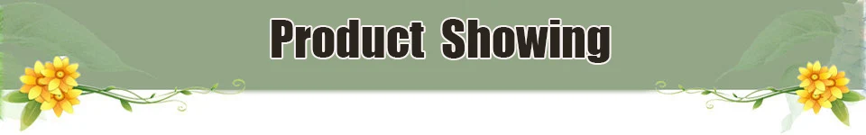 product showing
