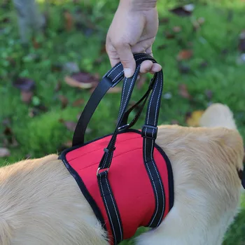 

Dog Paralyzed Disabled Recovery Sleeve Leg Limbs Auxiliary Lifting Assisted Walking Belt Train Pet Leash Collar Glow Supplies VC