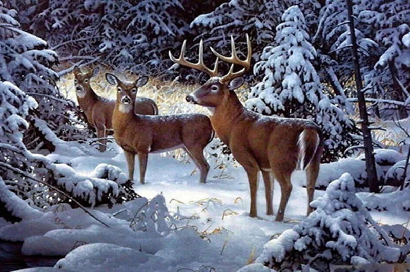 Алмазная живопись 5D сделай сам Олень в снегу Вышивка крестом вышивка круглая