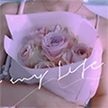 Shop911995078 Store