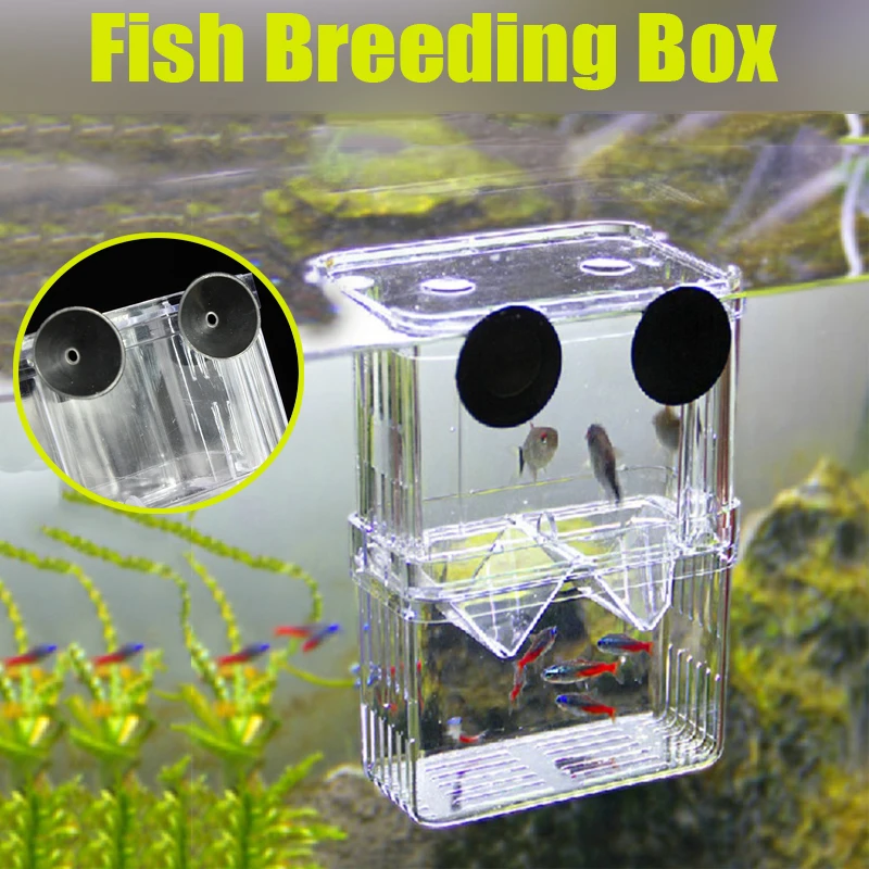 

Acrylic Fish Breeding Isolation Box Fish Tank Double Guppies Aquarium Breeder Box Hatching Incubator Aquarium Pets Supplies