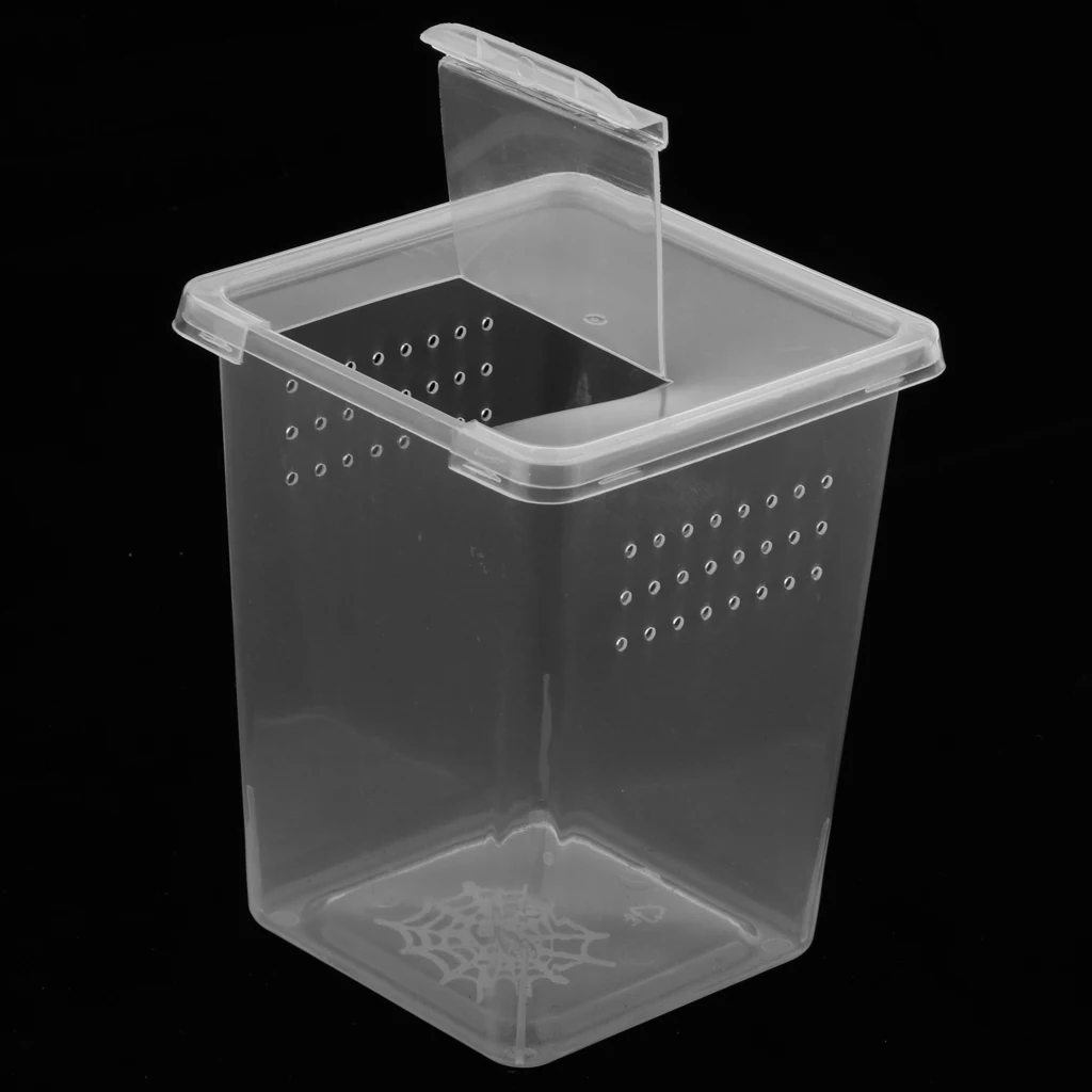 Plastic Insect  Turtle Spider Habitat Feeding Box Container 8x8x11cm