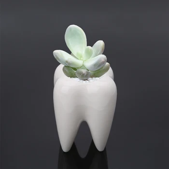 

Tooth Shape Ceramic Flower Pot Green Succulent Planter Cactus Container Decor