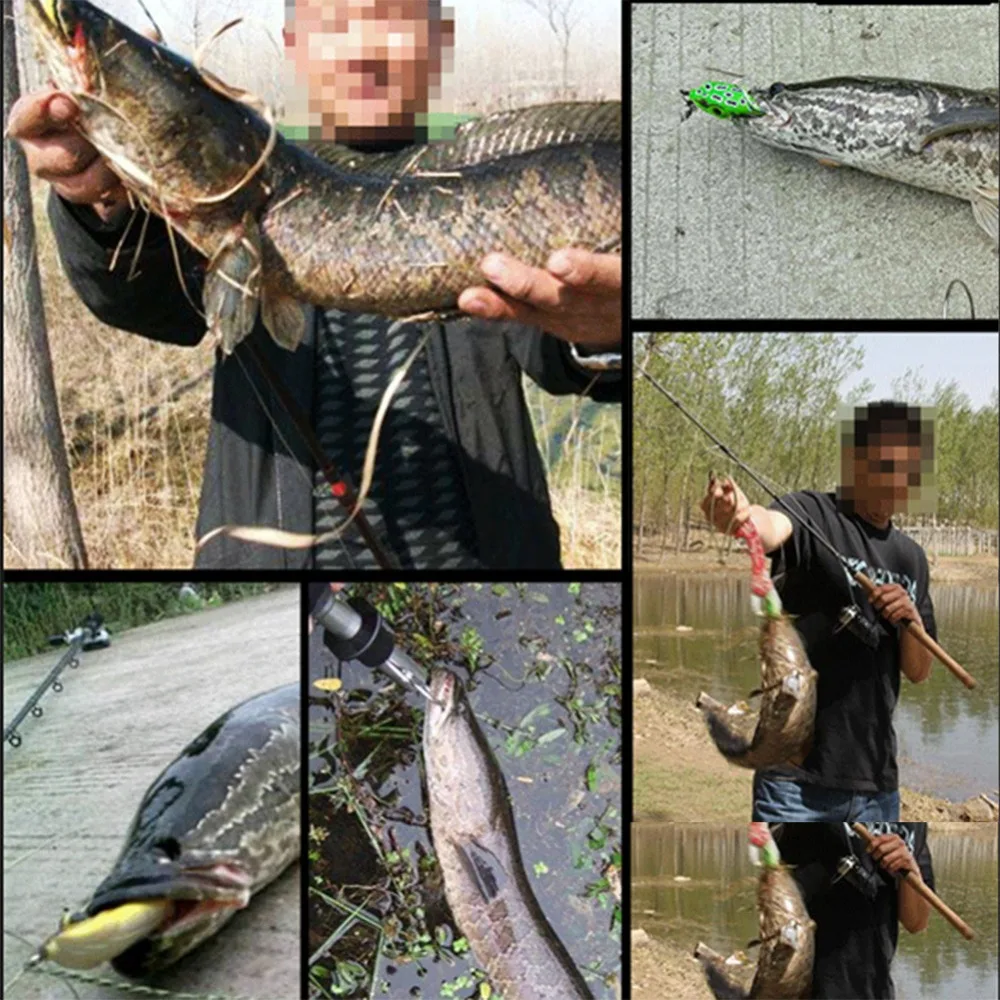 304381_no-logo_304381-1-11-g