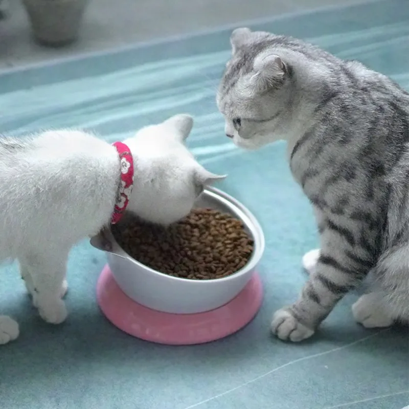 15 градусов противоскользящая миска для домашних животных, подставка из нержавеющей стали для защиты кошачьей шеи, блюдо с наклонным питателем, стерильная посуда, миска для воды для кошек