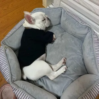 

New Style Pet Dog Spring Summer Short Sleeve Tshirt Clothes For Small Dogs Schnauzer Yorkie Teddy Maltese Corgi Pug GKC20