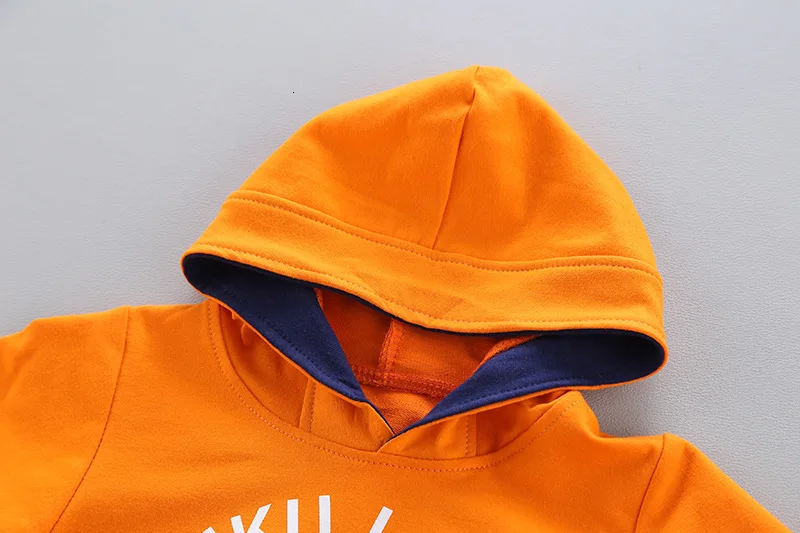Autumn Baby Clothing Suits Children Boys Girls Clothes Kids Hooded Sweatshirt Pants 2Pcs/Sets Toddler Leisure Sport Tracksuit