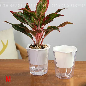 

Flower Plant Pot Self Watering Planter Transparent Planting Flower Pot Water Storage Basin RT99