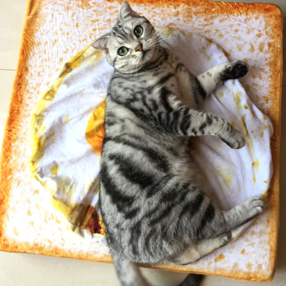 

Cute Omelette Pet Blankets Puppy Cat Short Plush Pet Mat Durable Warm Poached Eggs Blanket Mats For Small Dog And Cat